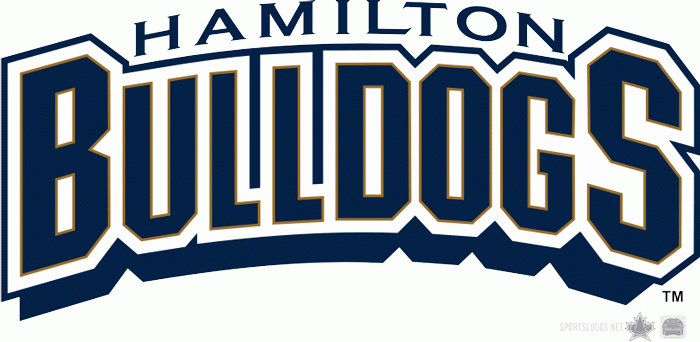 Hamilton Bulldogs 1996 97-2001 02 Wordmark Logo v2 iron on transfers for T-shirts